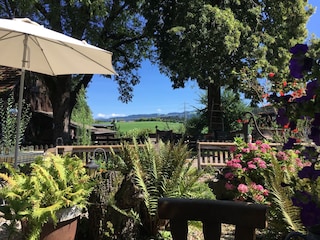 Blick auf die Nagelfluh-Kette beim Vesper