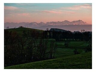 Nach 5 Minuten Wiesenspaziergang