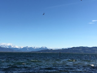 Die Bregenzer Bucht im Frühling