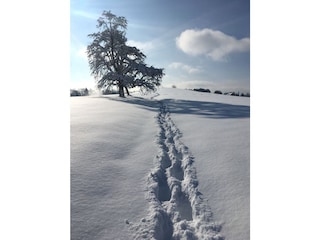 5 Minuten Spaziergang im Schnee