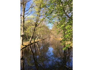 Casa per le vacanze Bergen (Holland) Ambiente 25