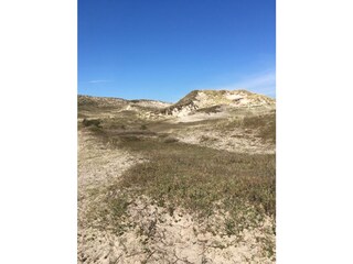 Casa per le vacanze Bergen (Holland) Ambiente 26