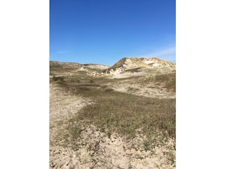 Dünen (Bergen aan Zee)