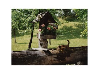 Brunnen vorm Bio-Blockhaus Koglerhütte