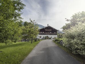 Chalet Wolfbachgut - Taxenbach - image1