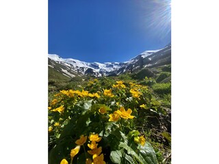 Chalet Taxenbach Ambiente 36