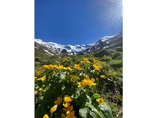 eigene Alm in Rauris