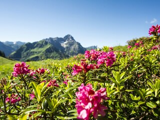 Appartamento per vacanze Riezlern Ambiente 21