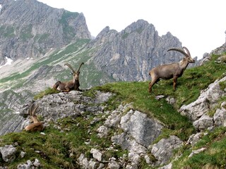 Appartamento per vacanze Riezlern Ambiente 25