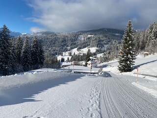 Appartamento per vacanze Riezlern Registrazione all'aperto 4