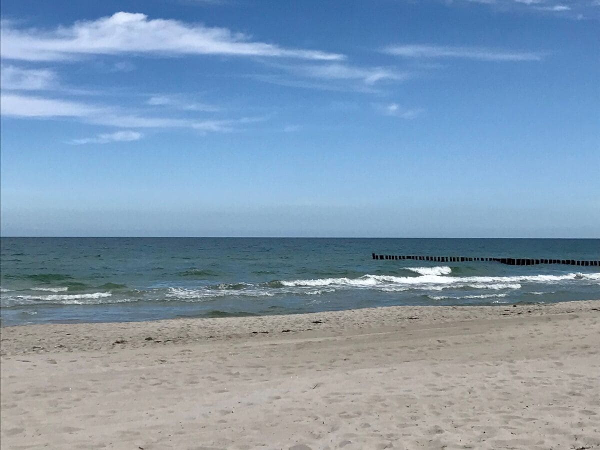 Ferienwohnung Zingst Umgebung 26