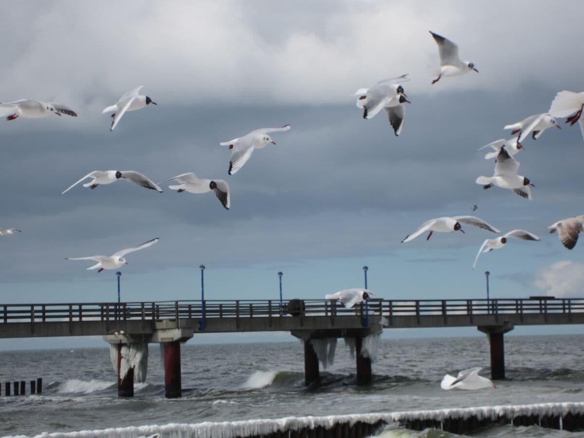 Ferienwohnung Zingst Ausstattung 7