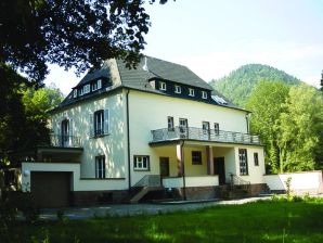 Ferienhaus Ferienvilla Hauptstraße 111 - Lambrecht - image1