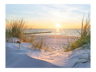 Ferienwohnung Warnemünde Umgebung 12