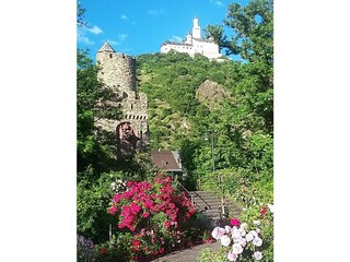 Apartamento St. Goarshausen Entorno 24