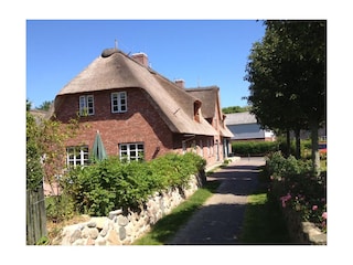 Blick über den Garten zum Haus