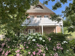Ferienwohnung St. Peter-Ording Außenaufnahme 7