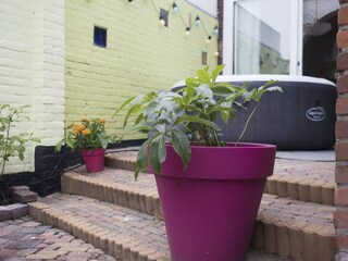Vakantieappartement Castricum Buitenaudio-opname 5