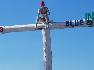 Appartamento per vacanze Castricum Ambiente 35