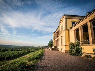 Maison de vacances St. Martin in der Pfalz Environnement 15