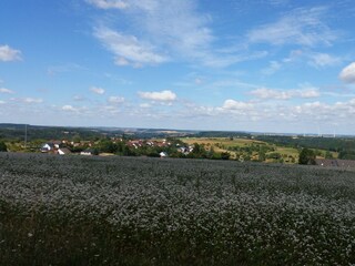 Höhenlage Nahe Eppenbrunn