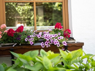 Appartamento per vacanze Elixhausen Registrazione all'aperto 9