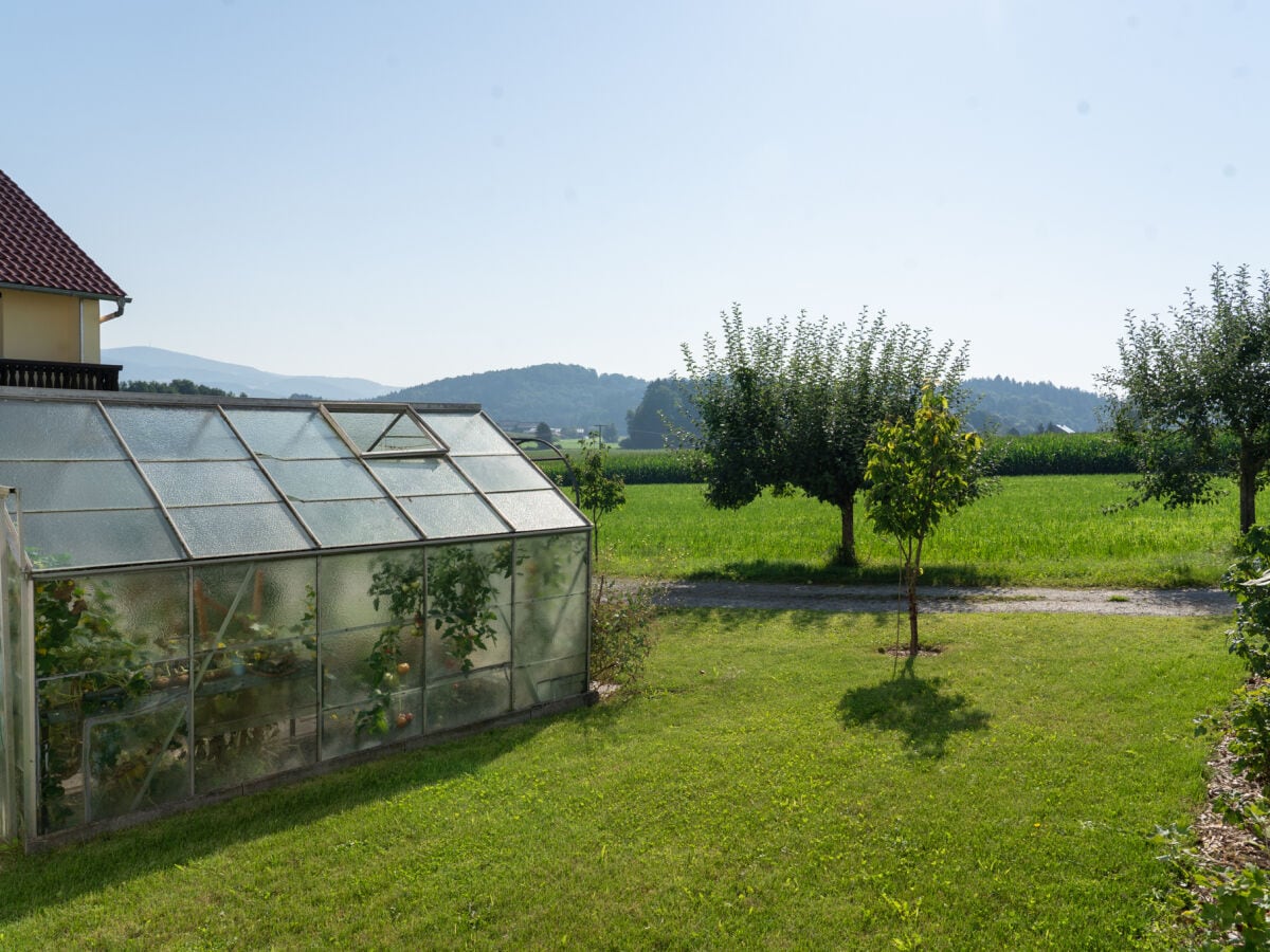 unser Gewächshaus für Ihr frisches Gemüse