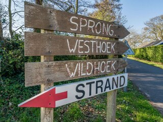 Casa per le vacanze Renesse Ambiente 21