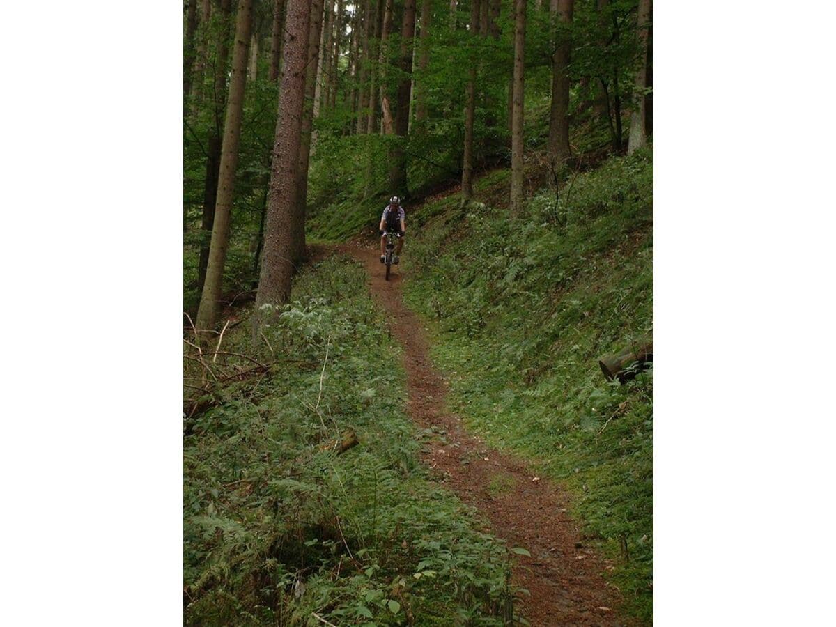 Wandern oder Mountainbiken