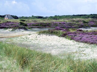 Casa per le vacanze De Koog Ambiente 10