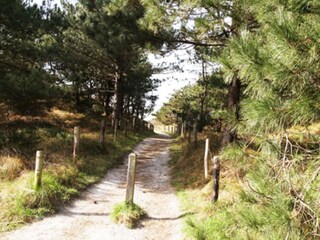 Casa per le vacanze De Koog  14