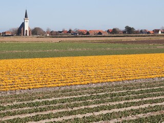 Casa per le vacanze De Koog Ambiente 13