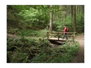 Appartamento Bleckhausen Registrazione all'aperto 19