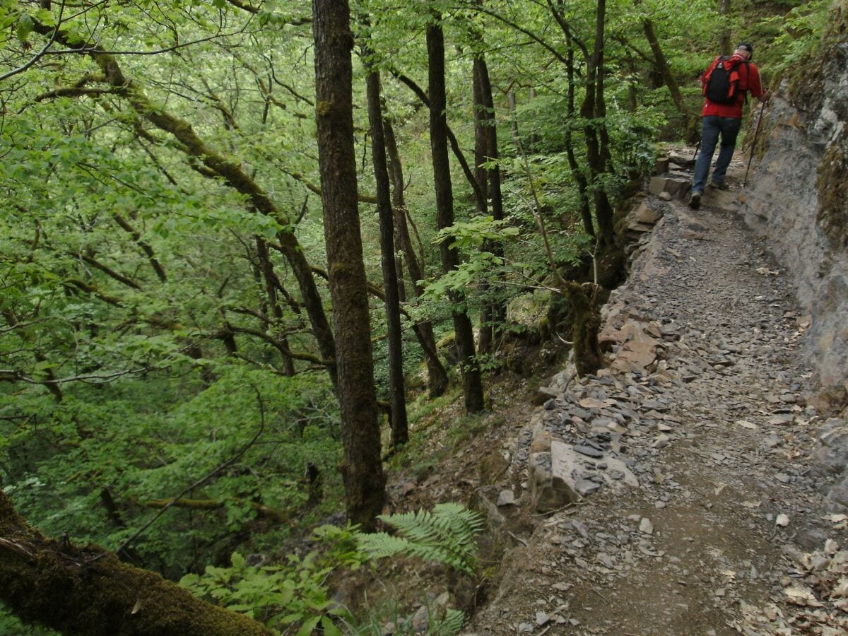 Lieserpfad/Eifelsteig