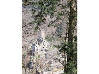Apartamento Manderscheid (Wittlich-Land) Grabación al aire libre 4