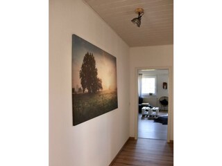 Apartamento Manderscheid (Wittlich-Land) Características 24