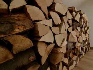 Appartamento Manderscheid (Wittlich-Land) Registrazione all'aperto 16