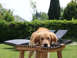 Appartement Manderscheid (Wittlich-Land) Buitenaudio-opname 43