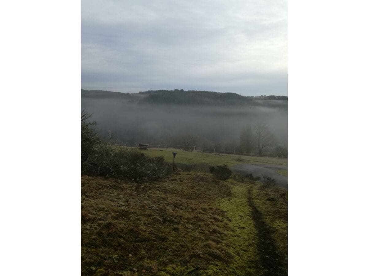 Eifel im Nebel