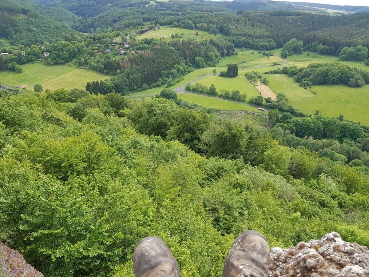 Ausblick vom Schutzer Burberg