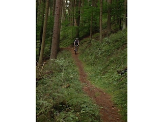 Wandern oder Mountainbiken