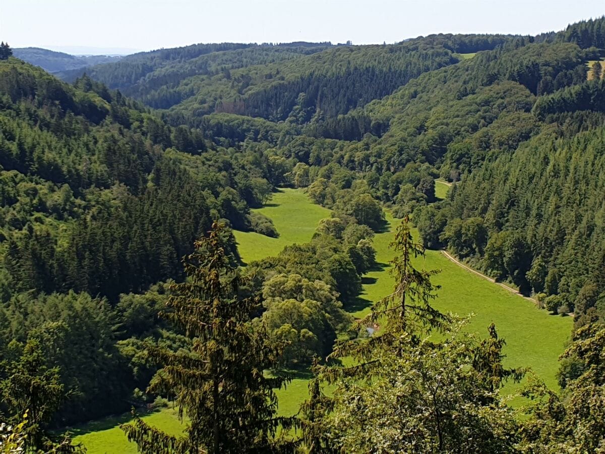 Blick ins Liesertal, Tellerley