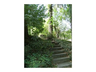 Weg zur Gartenlaube