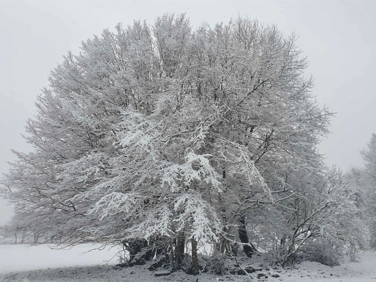 Schneezauber