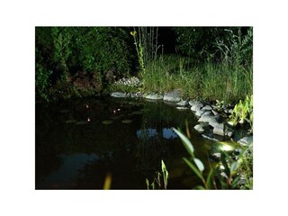 Kleiner Teich im Grundstück