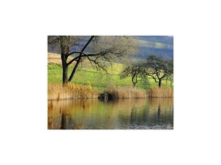 Appartamento Schalkenmehren Ambiente 22