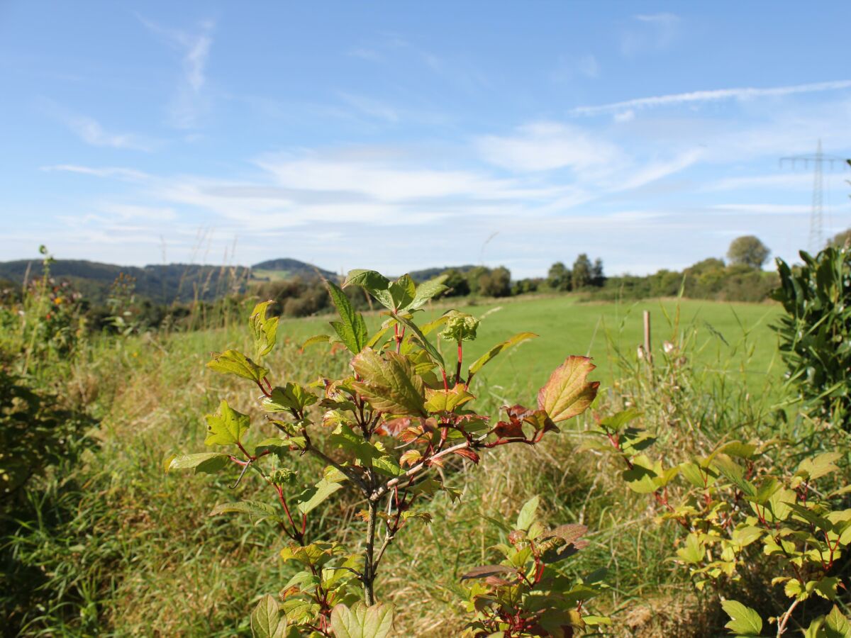 Haus Sonne_Aussicht