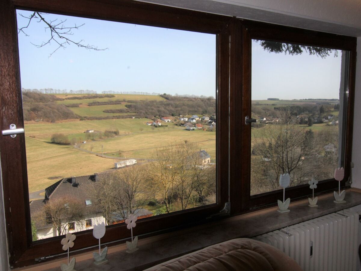 EifelNatur 2 - Blick aus dem Wohnzimmerfenster.