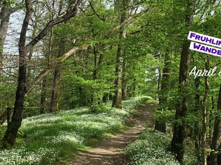 fruehlingshafte Wanderungen