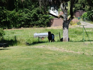 Gartenblick